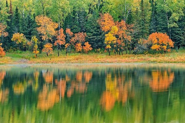 Canada-Ontario-Kenora District Forest autumn colors reflect on Middle Lake